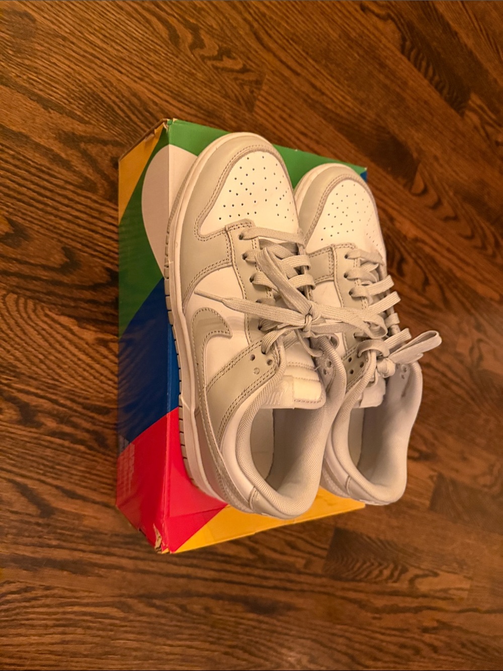 Nike low dunk retro